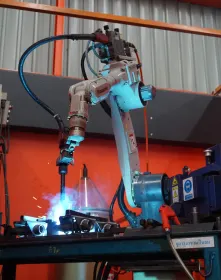 TWT Handling Robot